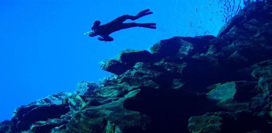 Island ProTravel