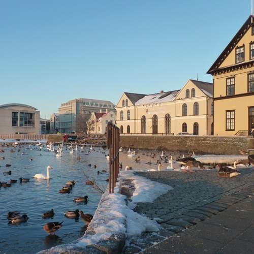 Reykjavik im Winter