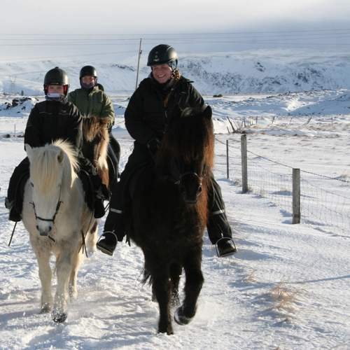 Reiten auf Island im Winter © Eldhestar