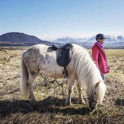 Islandpferd mit Reiter © Ishestar