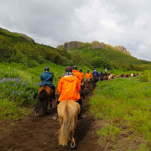 Island Reittouren & Reiturlaub | Island ProTravel