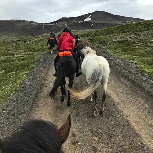 Reiter auf Islandpferden 