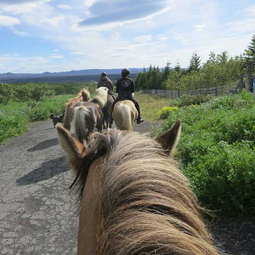 Reiten ©Exploring Iceland