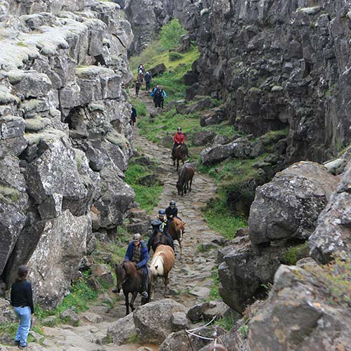 Islandpferde ©Exploring Iceland