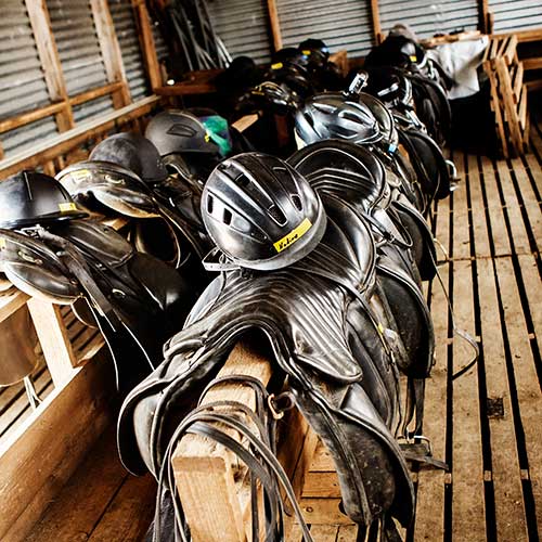 Sattel & Helme © Íshestar