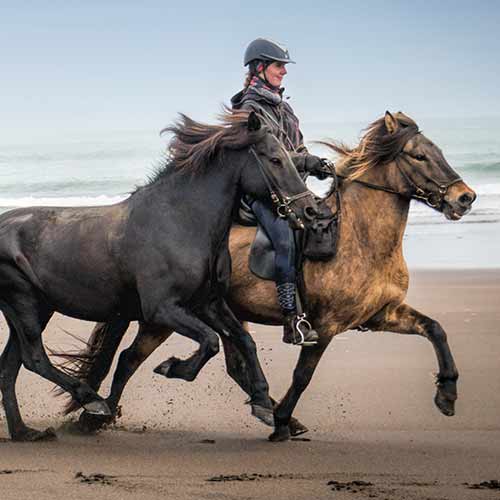 Strand Ritt ©Eldhestar