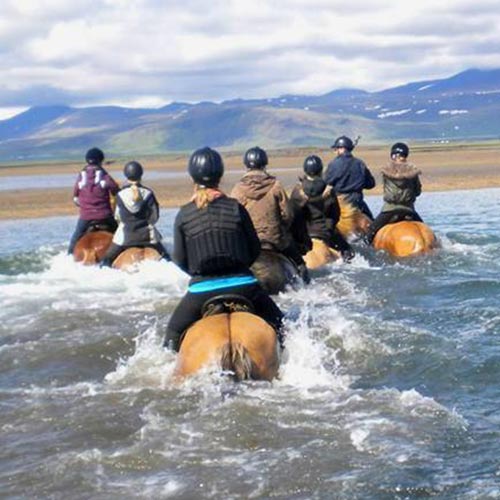 Strandriff auf Snaefellsnis