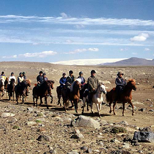 Reiter auf Islandpferden © Eldhestar