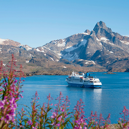 Seaventure in Grönland