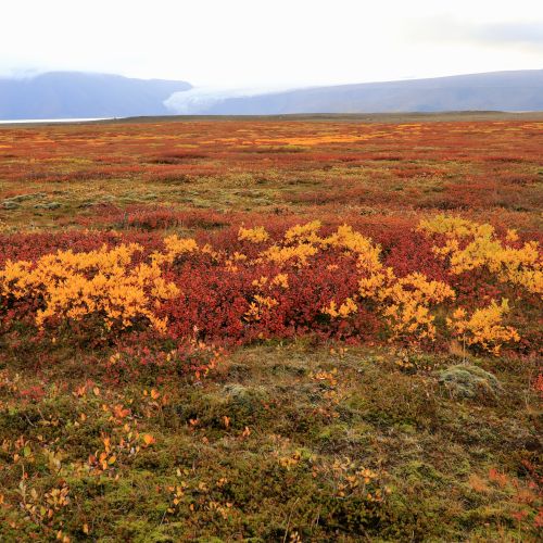 Herbstfarben in Islands Landschaft