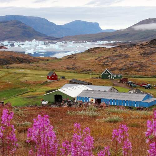 Narsarsuaq