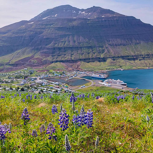 Westfjorde
