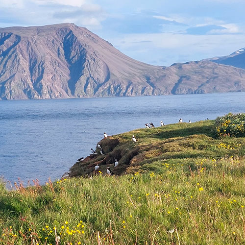 Westfjord in Island