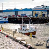 Alter Hafen von Reykjavik