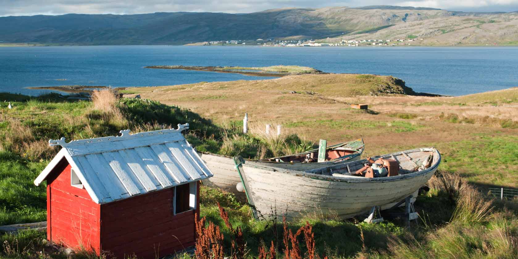 Island ProTravel
